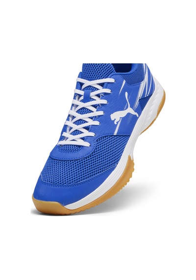 Puma Varion Iı Kadın Mavi Indoor Voleybol Ayakkabısı 10734103 Mavi