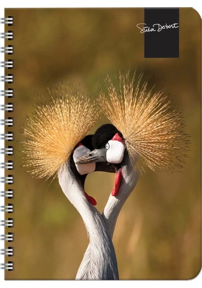 Keskin Color Süha Derbent Çizgili Defter 17x24 Cm 120 Yaprak 326811-99