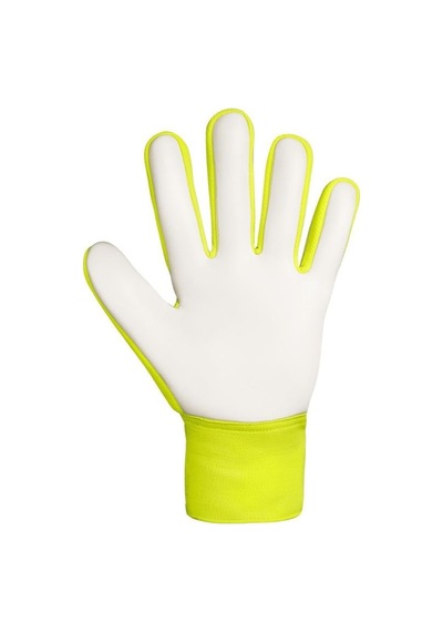 Reusch Attrakt Starter Solıd Kaleci Eldiveni 5570514-2014 Çok Renkli