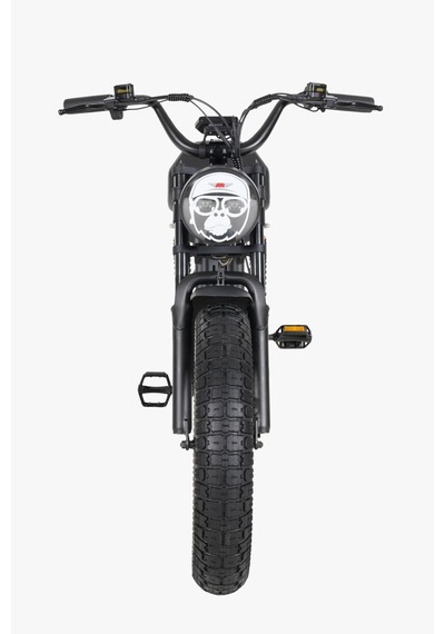 Ape Ryder Gibbon Ultra Sport Elektrikli Bisiklet Siyah