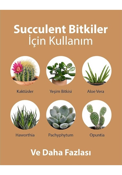 Petroturk Succulent Sıvı Bitki Besini 250 Ml 1