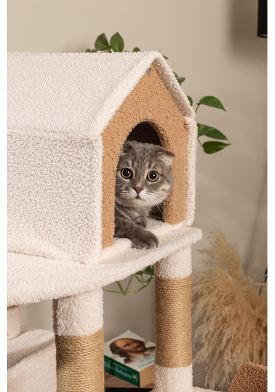 Luna Kedi Tırmalama Alanı