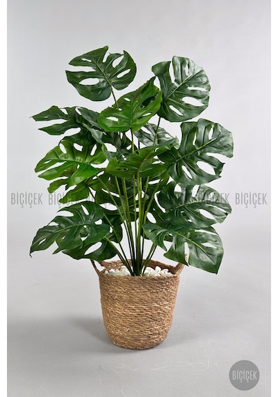 Yapay Monstera Deve Tabani 65 Cm Kulplu Hasir Saksıda Krem
