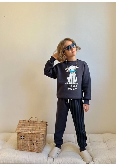 Miniko Kids Erkek Çocuk 3 İp Şardonlu Amıgo Eşofman Takımı Füme
