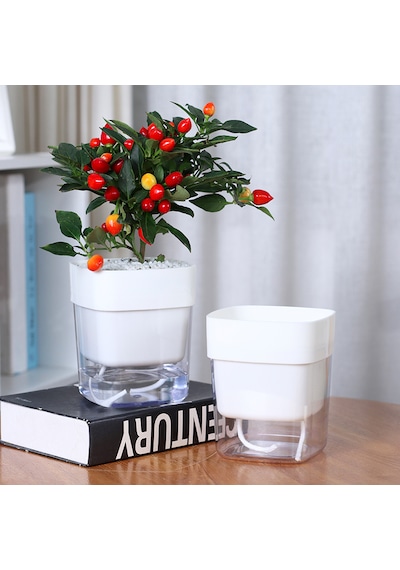Kendinden Sulamalı Şeffaf Hazneli Kare Akıllı Saksı 16 X 17.5 X 16 Cm