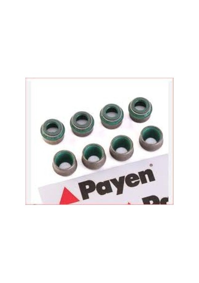 Payen Hr816 Subap Keçesi 7 9.8 13.2 9.7 Golf Iı Iıı Iv V Vı Jetta Passat Polo T4 T5 T6 A3 A4 A5 A6 Leon Octavia Superb Bhy Bmm Bxe Bls 91610775400