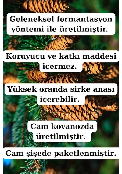 Çam Kozalağı Sirkesi Ve Alıç Sirkesi 250 Ml + 250 Ml - Doğal Fermente