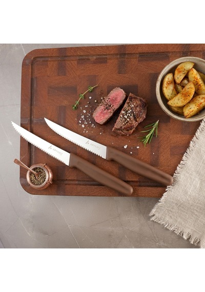 Aryıldız Daily Steak Bıçak 2 Li Kahverengi Çok Renkli