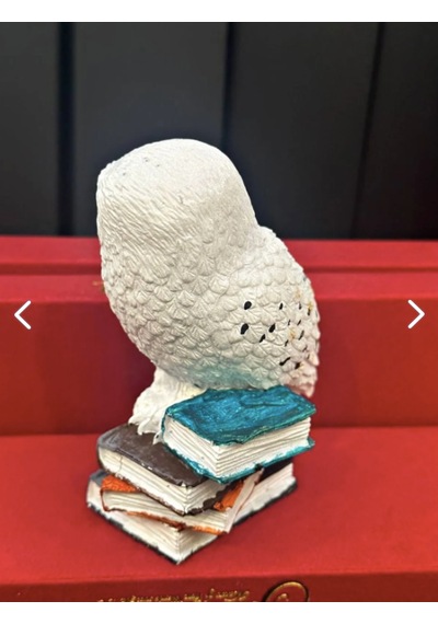 Harry Potter Baykuş Hedwig