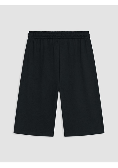 Lc Waikiki Lc Waıkıkı Siyah Regular Fit Erkek Şort