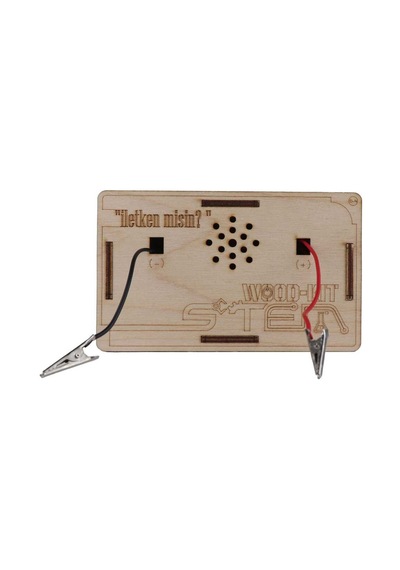 Wood-kit Stem Robotik Kodlama - İletkenlik Misin