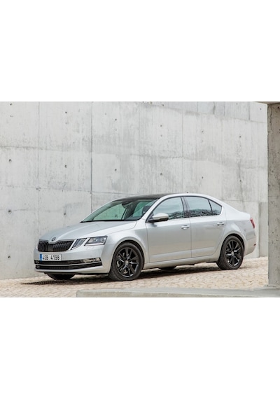 Skoda Octavia 3 A7 2013-2020 Motor Alt Muhafaza Koruma 5Q0825236Q 391041826