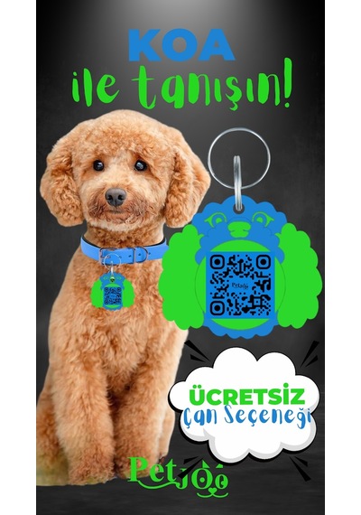 Petjoo 14.Koa Yeşil-Mavi Qr'lı Köpek Künyesi