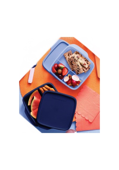 Eco 2li 550 Ml Bölmeli Beslenme Set Mavi