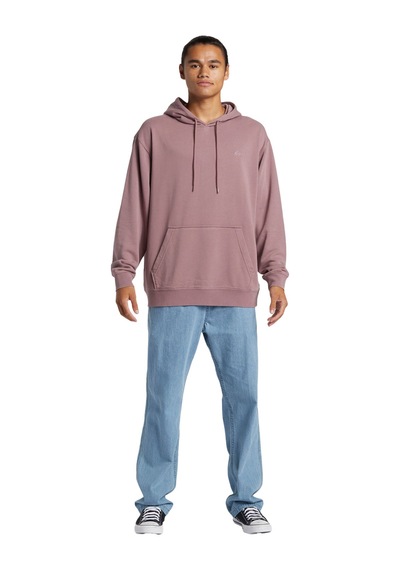 Quiksilver Salt Water Hoodie Erkek Sweatshirt Mor