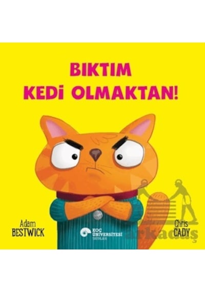 Bıktım Kedi Olmaktan
