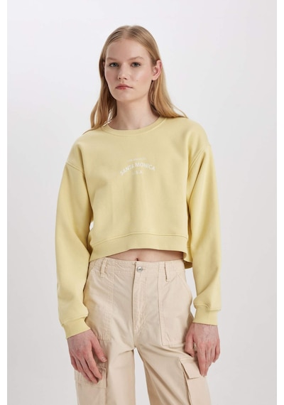 DeFacto Boxy Fit Bisiklet Yaka Baskılı Kalın Sweatshirt C5385AX23CWGN657