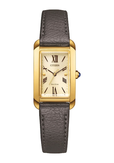 Citizen Eco-drive Ew5622-09p Bordo