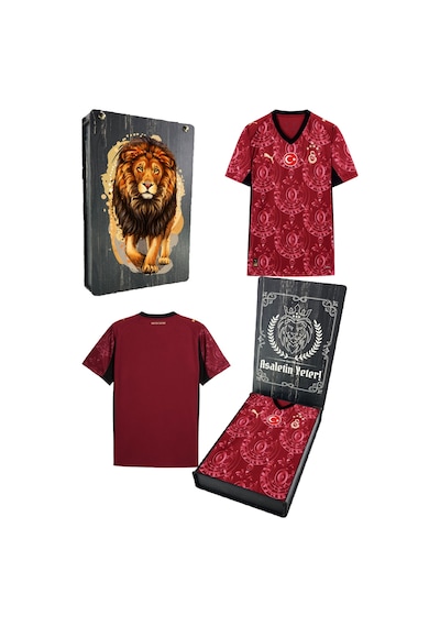 Gsstore Galatasaray 25/26 Erkek Alternatif Forması Uv Ahşap Hediyelik Kutu Kırmızı