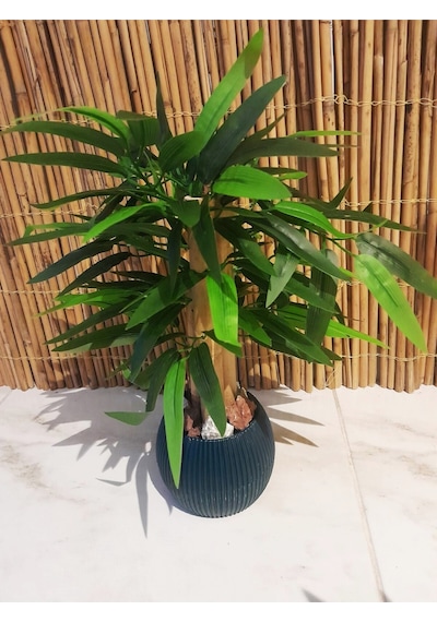 Yapay Bambu Ağacı Sukulent Antrasit Gri Saksıda 30 Cm Boy Çiçek Yeşil