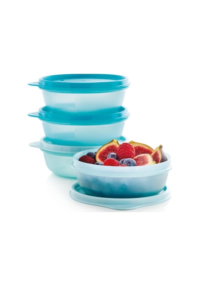 Tupperware Saklama ve Servis Kabı 4'lü Set 300 ML
