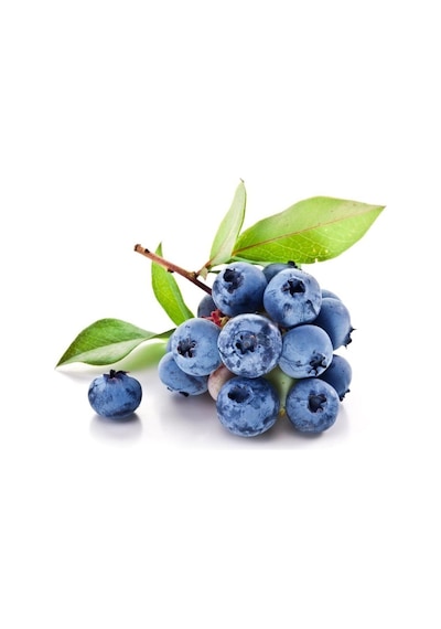 Yaban Mersini Tohumu Blueberry Tohumu 25 Adet Tohum