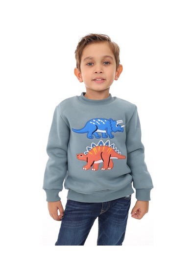 Toontoy Kids Toontoy Erkek Çocuk Nakışlı Sweatshirt Açık Mavi