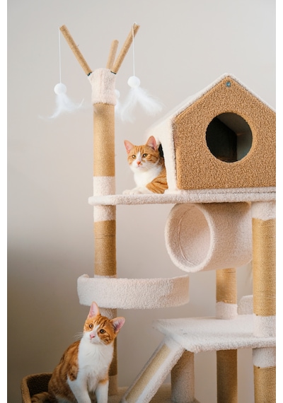 Kuara Bella Kedi Ağacı 3 Katlı Tırmalama Direği Yatak ve Oyuncaklı
