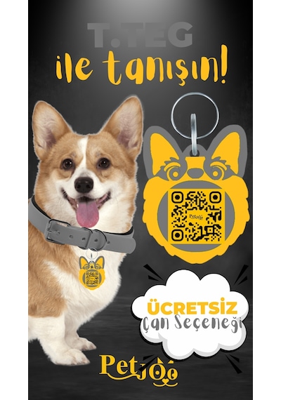 Petjoo 15.T.Teg Sarı-Gri Qr'lı Köpek Künyesi