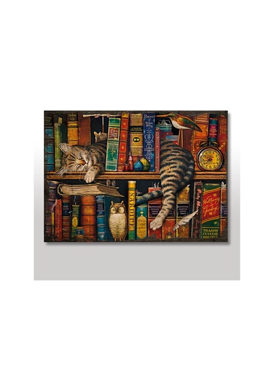 Bedeko Ahşap Tablo Kitaplık Baykuş Kedi Baskılı 50 Cm X 70 Cm