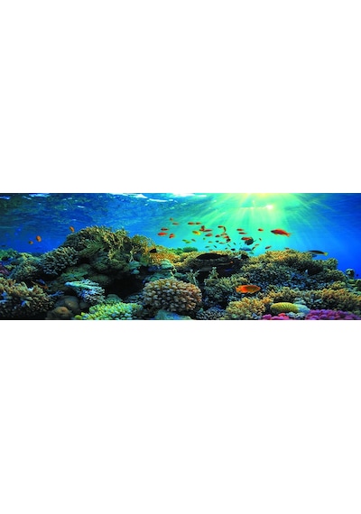 Kanki Pet 185 CM Akvaryum Arka Fon Yapıştırma 185 x 65 CM