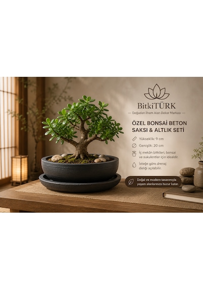 Dekoratif Beton Saksı Ve Altlık Seti 20 Cm El Yapımı Bonsai Saksısı Sukulent Saksısı İç Mekan Çiçek Saksısı -