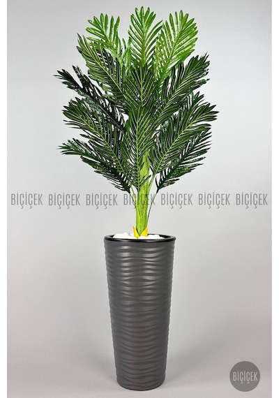 Biçiçek Areka Ağaci 150 Cm Antresi̇t Kumsal Saksıda Tek Gövdeli̇