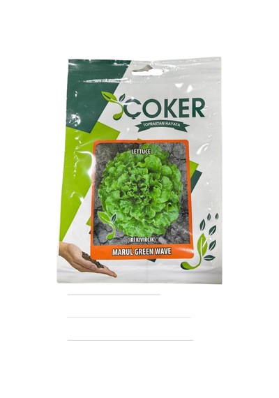Çoker İri Kıvırcık Marul Tohumu 10 Gr
