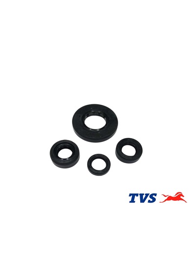 Tvs Apache Rtr 200 Keçe Seti -2812 Set