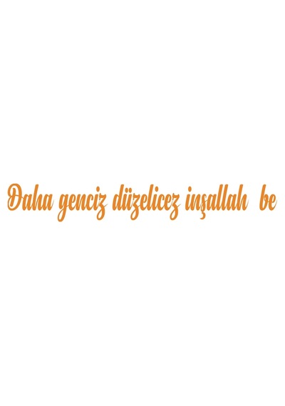 Daha Genciz Düzelicez İnşallah Araba Sticker 17x17 Cm Turuncu