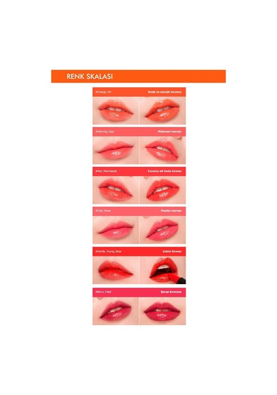 Yoğun Pigmentli Besleyici Nemli Bitişli Ruj Dare Rouge Sheer Sleek 05gentle Young Bos Çok Renkli