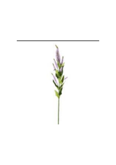 Yapay Lavanta Dalı Mor 71 Cm. Çok Renkli