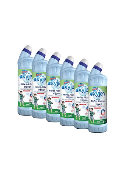 Bingo Oksijen Çam Kokulu Ekonomi Paket Çamaşır Suyu 6 x 750 ML