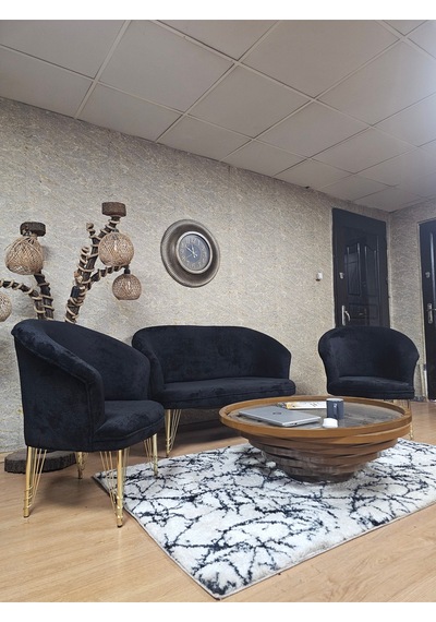 Zafir Teddy Takım Gold Kaplama Telli Ayak Çay Seti Koltuk - Berjer , Balkon, Salon, Ofis Siyah Zafir Teddy Takım Gold Kaplama Telli Ayak Çay Seti Koltuk - Berjer , Balkon, Salon, Ofis Siyah