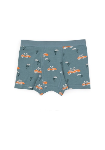 U.S. Polo Assn. Erkek Çocuk 3'lü Boxer Takım 50319395-VR051
