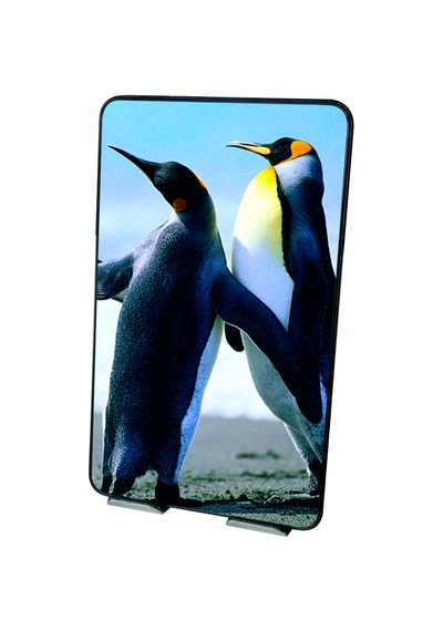 Sakoya Tablet Standı Çok Açı Ayarlı 304 Kalite Paslanmaz
