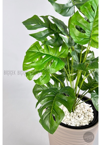 Biçiçek Yapay Monstera Deve Tabani Bi̇tki̇si̇ 130 Cm Mocha Kumsal Saksıda