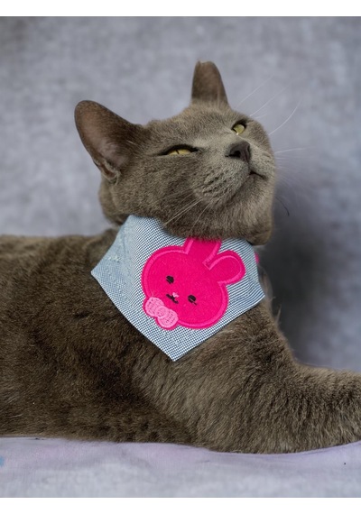Kemique Pink Bunny Bandana Fular Kedi Kıyafeti