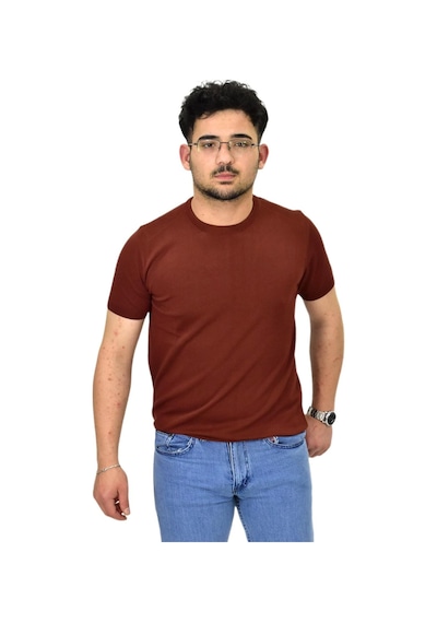 Raymons Erkek Triko Sıfır Yaka Tişört P6035 Bgl-st04505 Tarçın