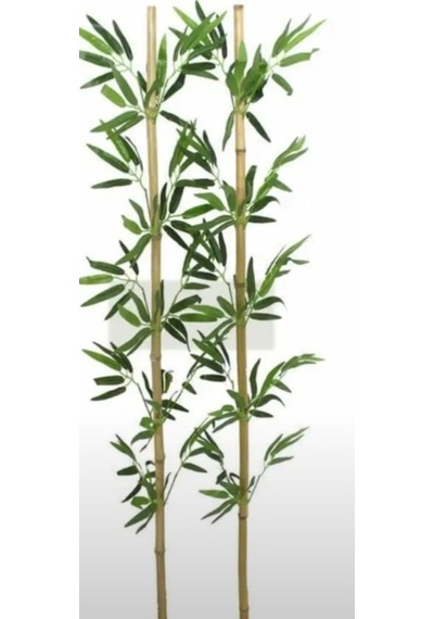 Rüzgar Çiçekcilik 50 Cm 25 Adet Bambu Yeşil