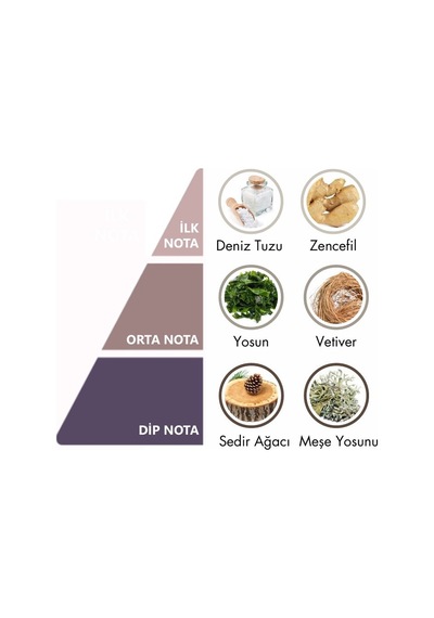 591 Erkek Parfüm Edp 50 Ml Woody - Mnms50591 Aromatik