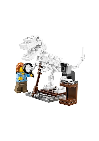 LEGO® Ideas 21110 ResearchInstitute 165 Parça