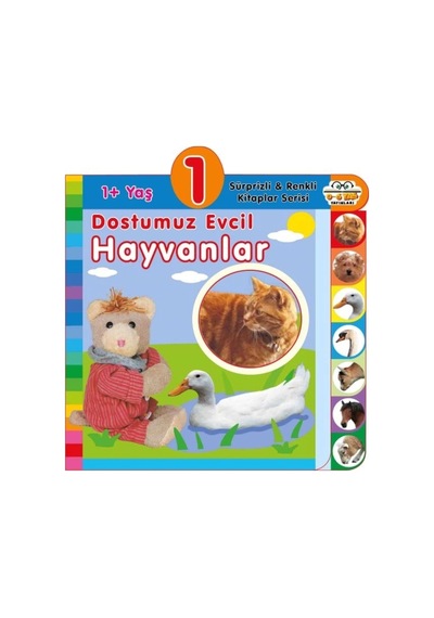 Dostumuz Evcil Hayvanlar 1+yaş
