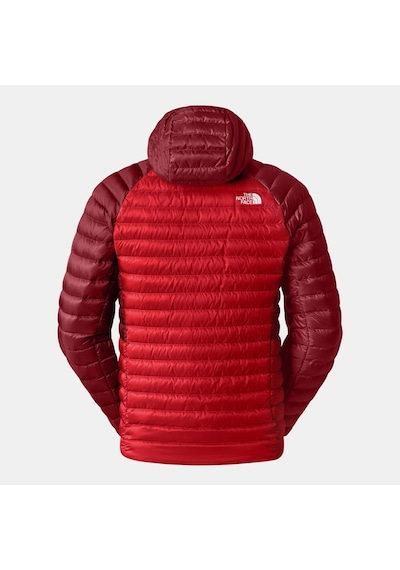 The North Face Erkek Mont Nf0a87gx7ır Kırmızı